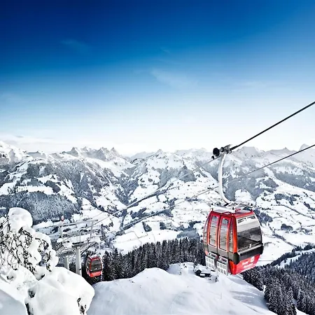 In Niederau Alpehytte *