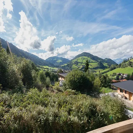In Niederau Alpehytte